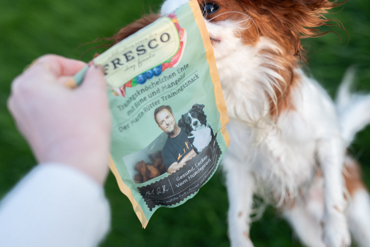 Pourquoi utiliser des friandises de training pour son chien ?