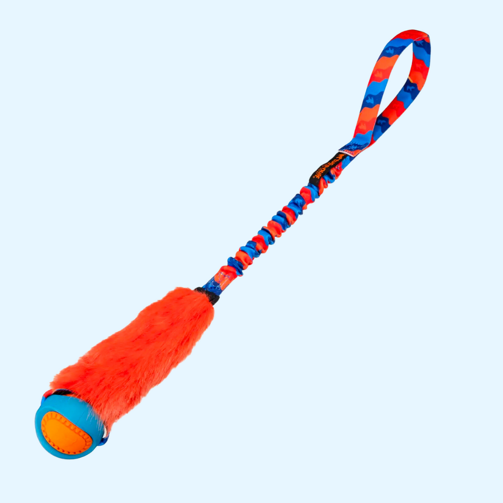 Version orange sur fond bleu très clair