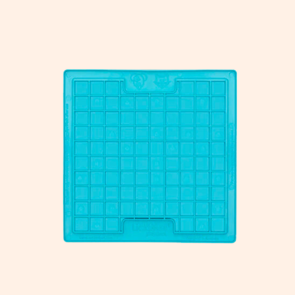 Coloris turquoise du carré à cases