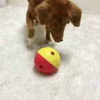 Chien roux jouant avec la balle rose et jaune