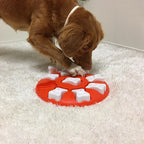 Chien roux flairant les cachettes du disque orange sur tapis