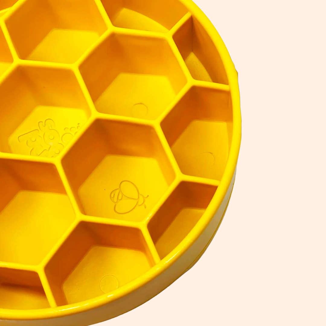 Gros plan sur les cellules hexagonales de l'assiette jaune