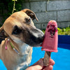 Mix pour glace pour chien & chat – Cooka's Cookies – photo 5