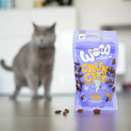 Chat gris qui approche des friandises tombées devant le sachet
