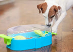Jack Russell observant les balles jaunes sous le couvercle