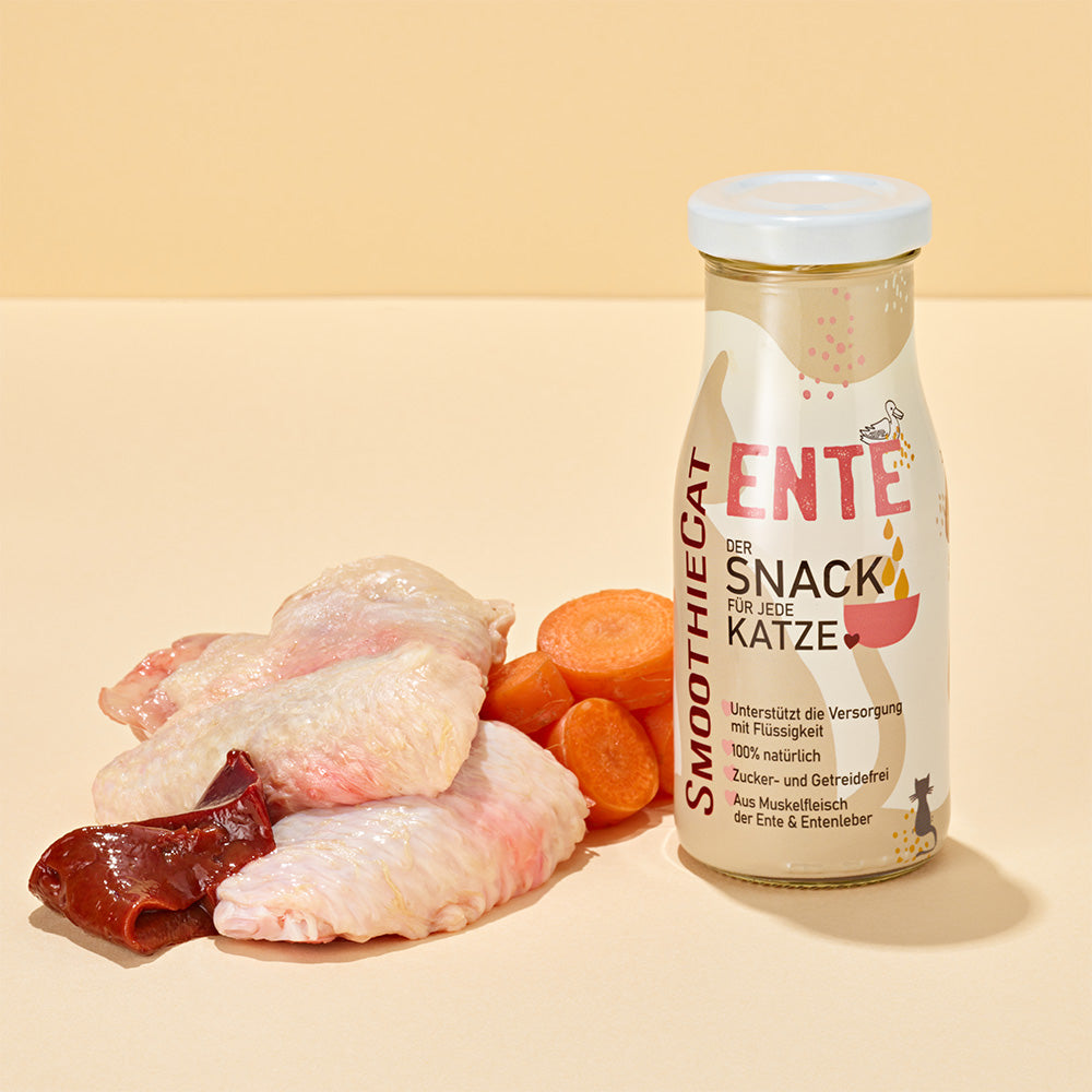 Bouteille SmoothieCat Ente avec viande de canard et carottes