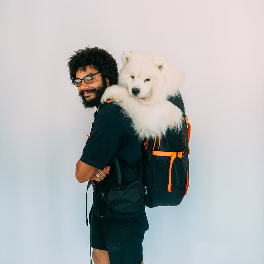 Sac à dos pour chien Brodie One Big Dawg – Little Chonk