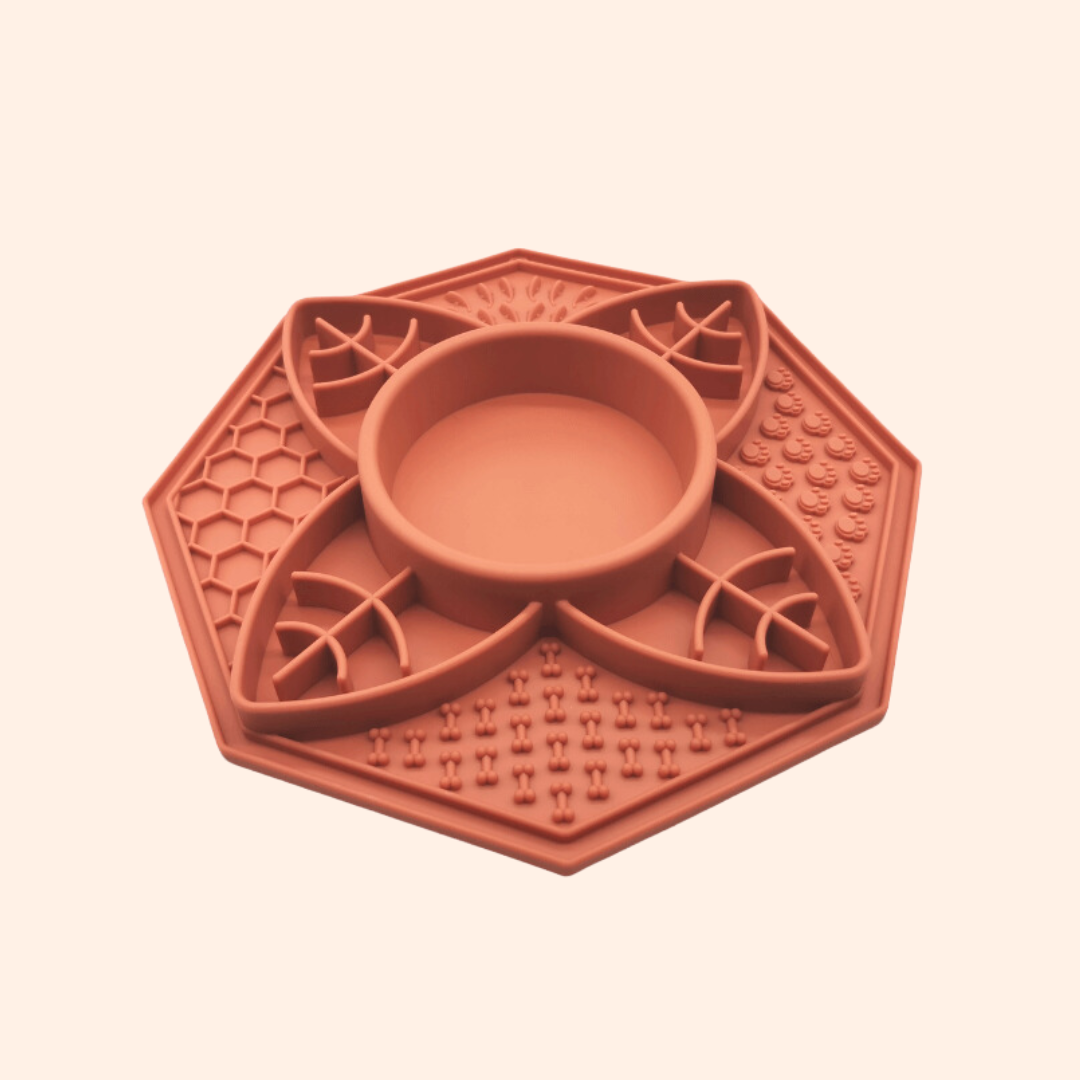 Coloris terracotta avec feuilles en relief et picots