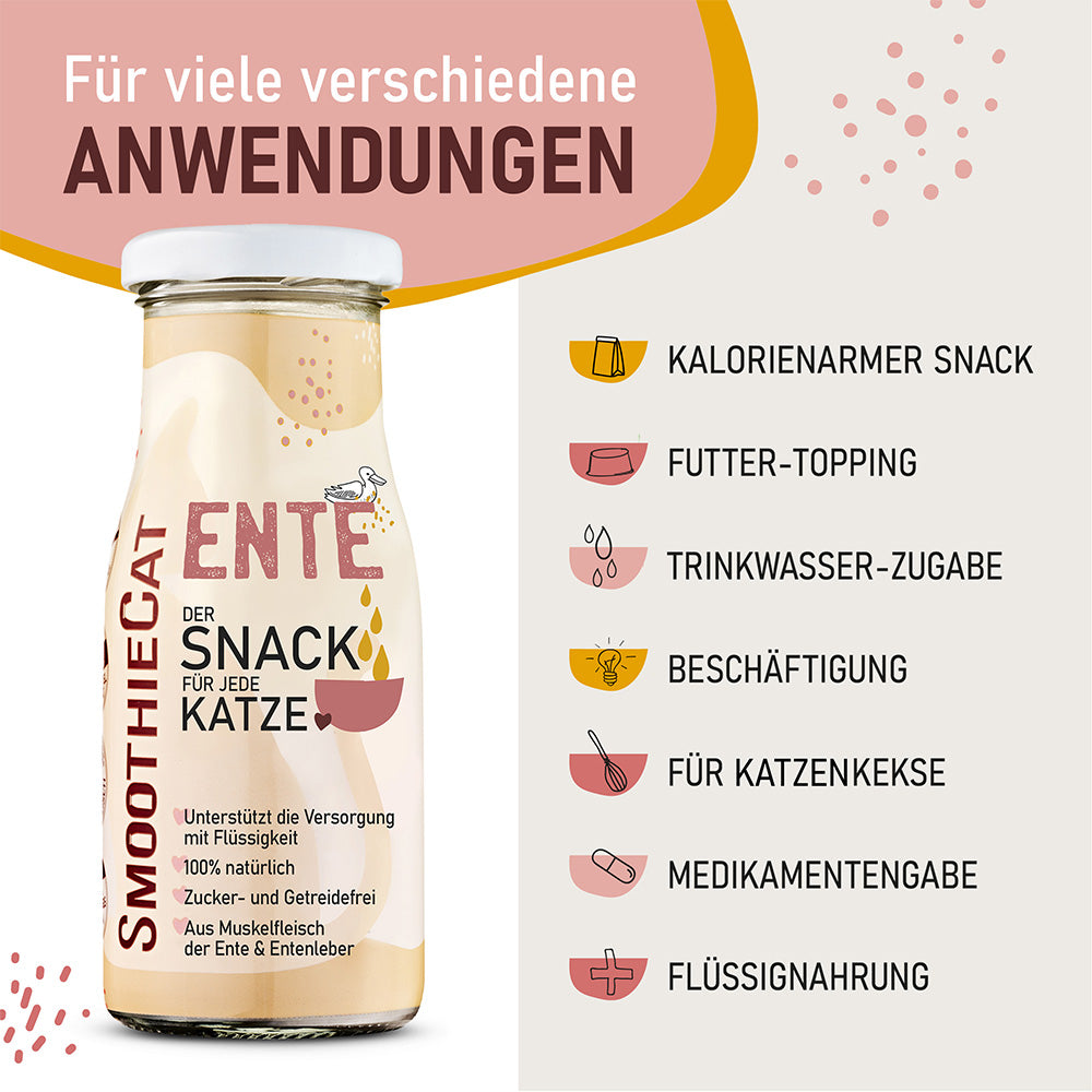 Usages du smoothie : topping, eau de boisson, médicaments, biscuits