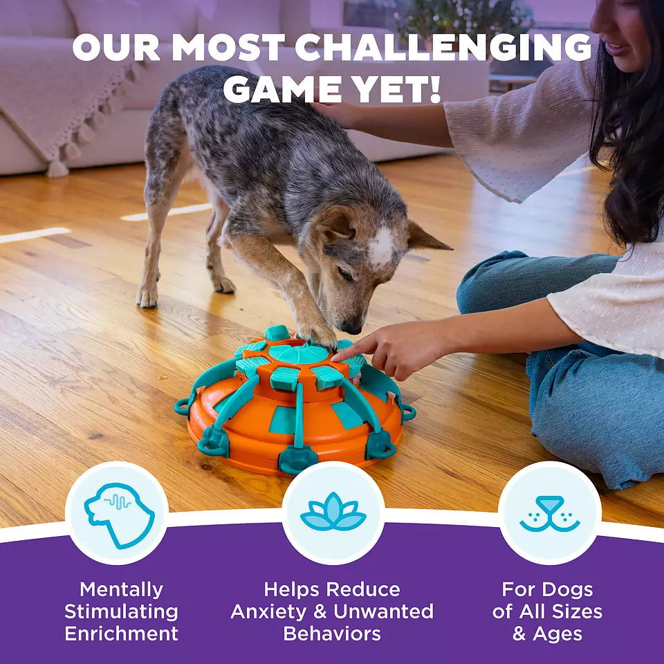 Chien et maîtresse jouant, bandeau violet d'avantages