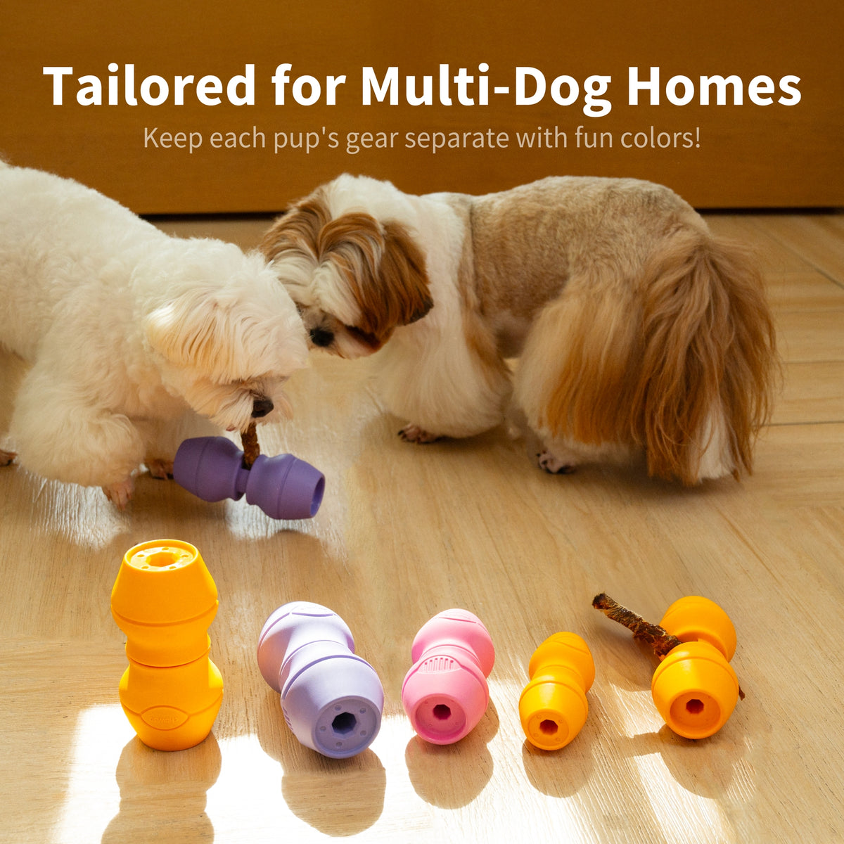 Petits chiens qui mâchent chacun leur support Chewise de couleur différente