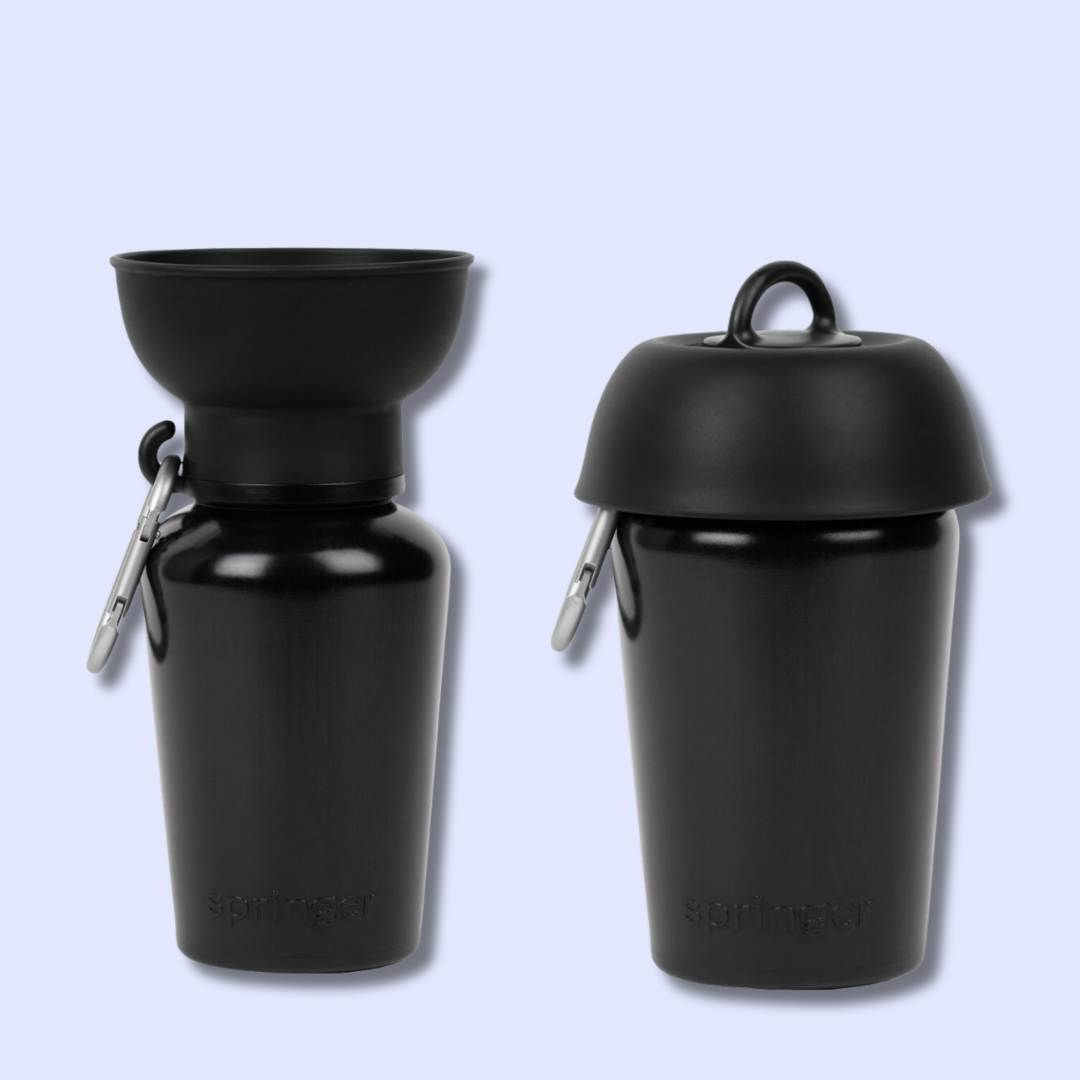 Gourde pour chien avec bol pliable 59 cl – Springer