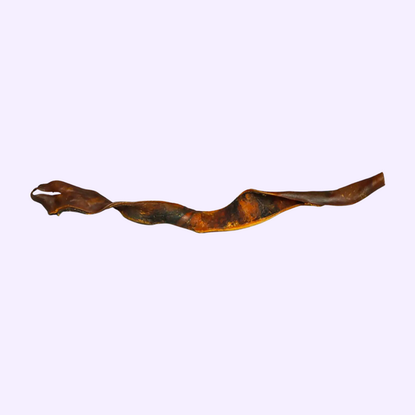 Peau de cerf roulée pour chien – mastication naturelle – 50 cm
