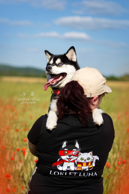 Arya