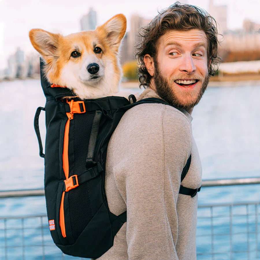 Sac à dos pour chien Maxine One – Little Chonk