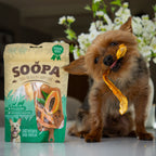 Yorkshire qui mâche une tranche de papaye devant le sachet