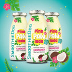 Trois bouteilles sur fond turquoise avec feuilles tropicales