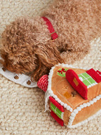 Caniche roux endormi contre la maisonnette