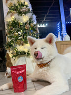 Hotte de Noël 2026 pour chien – calendrier de l’avent - 26 surprises