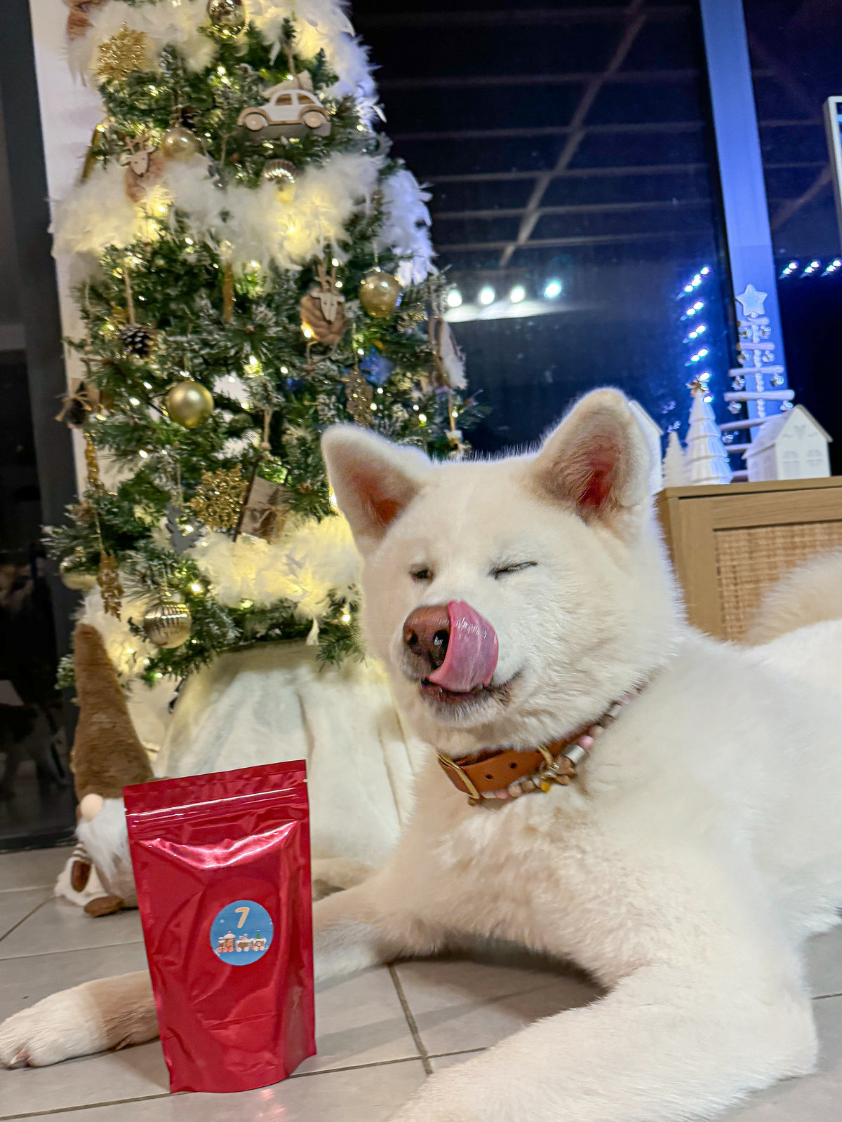 Hotte de Noël 2026 pour chien – calendrier de l’avent - 26 surprises