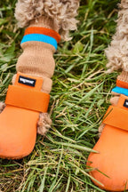 Pattes chaussées de bottes orange dans l'herbe