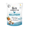 Sachet Brit Functional Snack Recovery hareng et argousier
