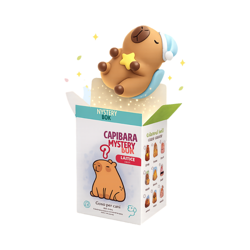 Boîte Capibara Mystery Box ouverte, capybara endormi et étincelles