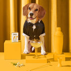 Beagle en smoking derrière une coupe, décor jaune moutarde