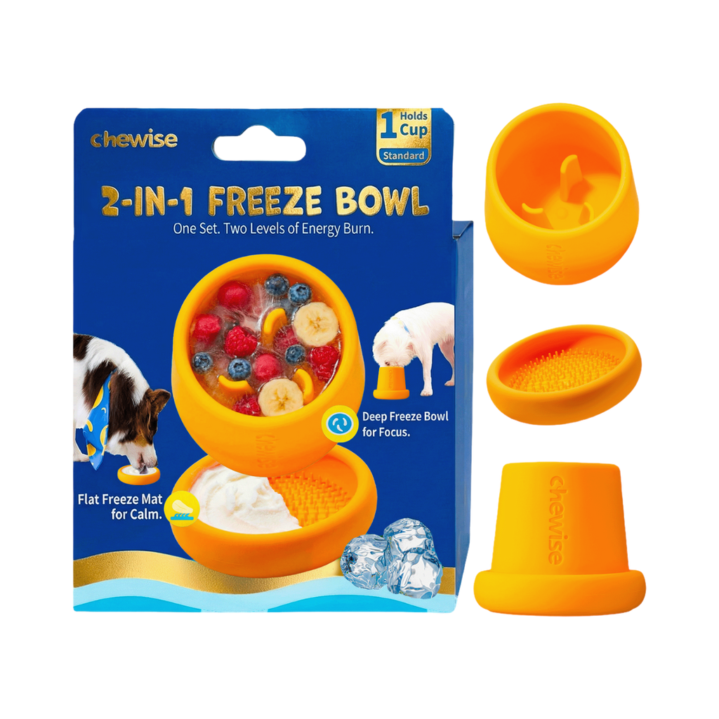 Boîte 2-in-1 Freeze Bowl avec bols orange et plateau glacé