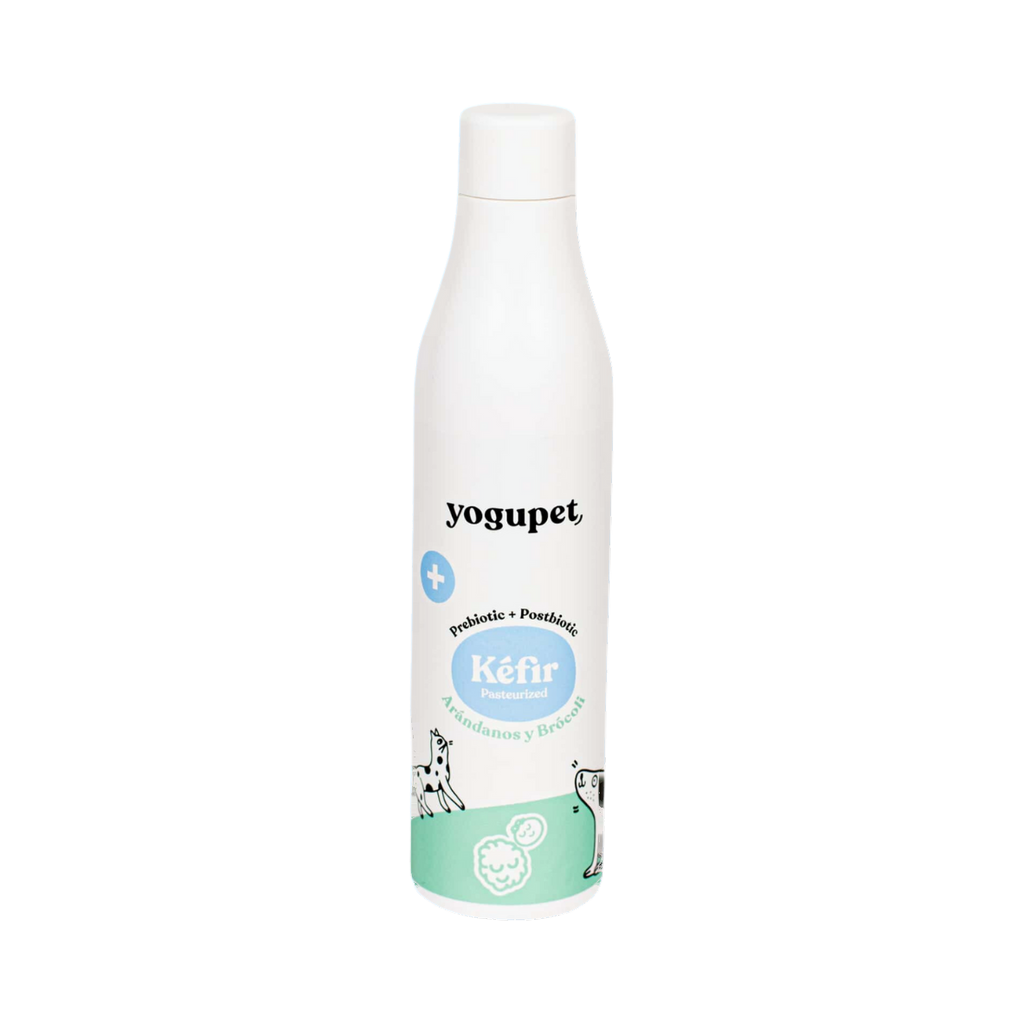 Bouteille blanche Kéfir à étiquette vert menthe