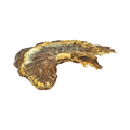 Estomac de porc séché, pièce dorée et fibreuse