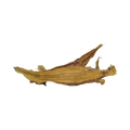 Filet de sole séché avec ses nageoires