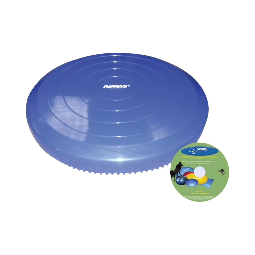 Disque bleu gonflé avec sa pompe à main
