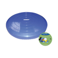 Disque bleu gonflé avec sa pompe à main