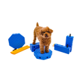 Caniche debout sur les blocs bleus reliés par des tubes jaunes