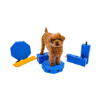 Caniche debout sur les blocs bleus reliés par des tubes jaunes