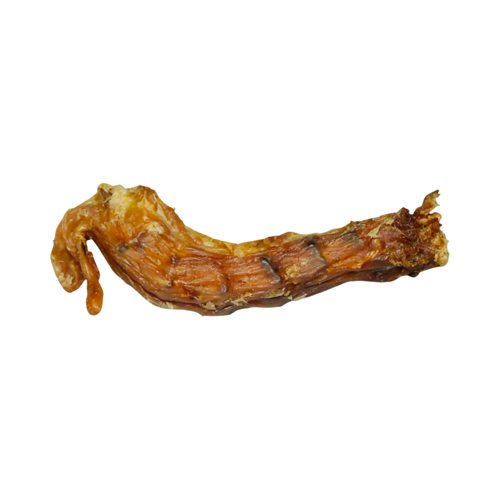 Cou de poulet séché seul, vu de profil