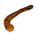 Cou de dinde séché entier, une pièce