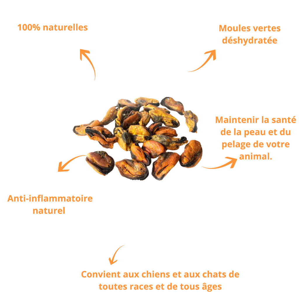 Atouts des moules déshydratées : 100 % naturelles, peau et pelage sains