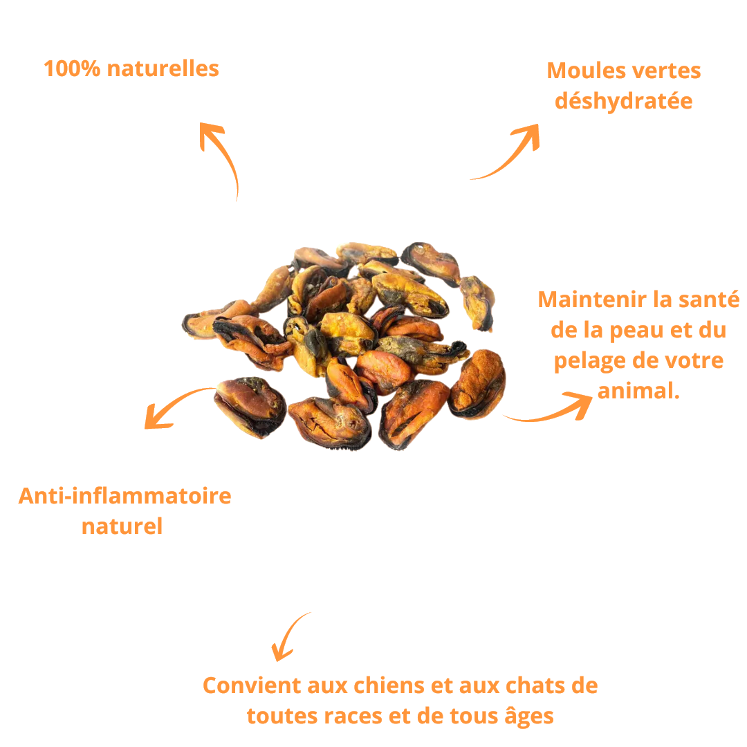 Atouts des moules déshydratées : 100 % naturelles, peau et pelage sains