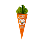 Cornet carotte Happy Bonbons orange et vert