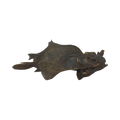 Plie entière séchée, poisson plat sombre