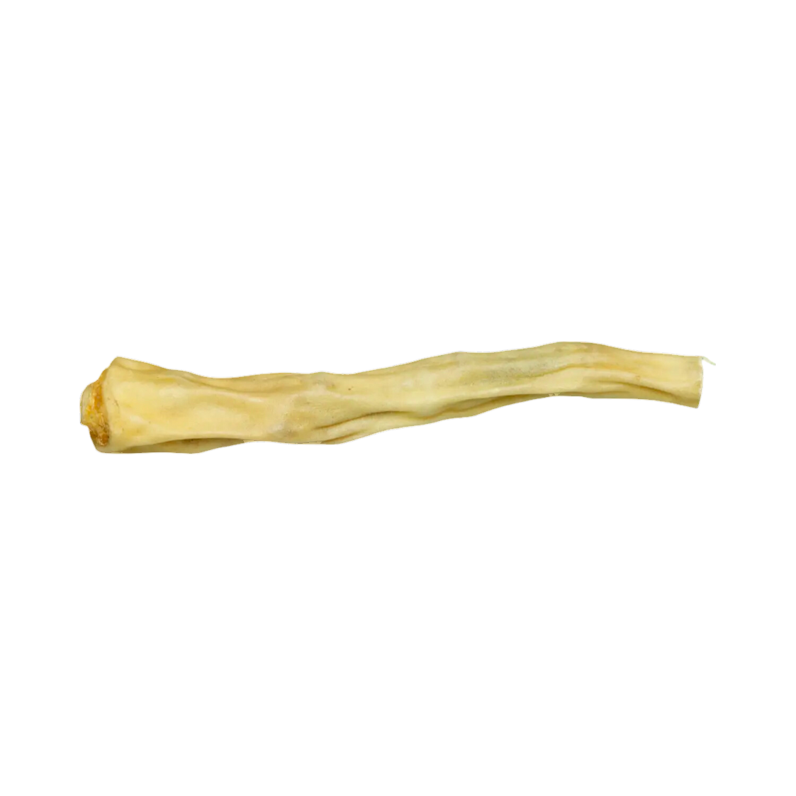 Queue de bœuf séchée claire, une pièce
