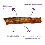 Trachée de bœuf avec ses bienfaits : 100 % bœuf séché, hygiène dentaire