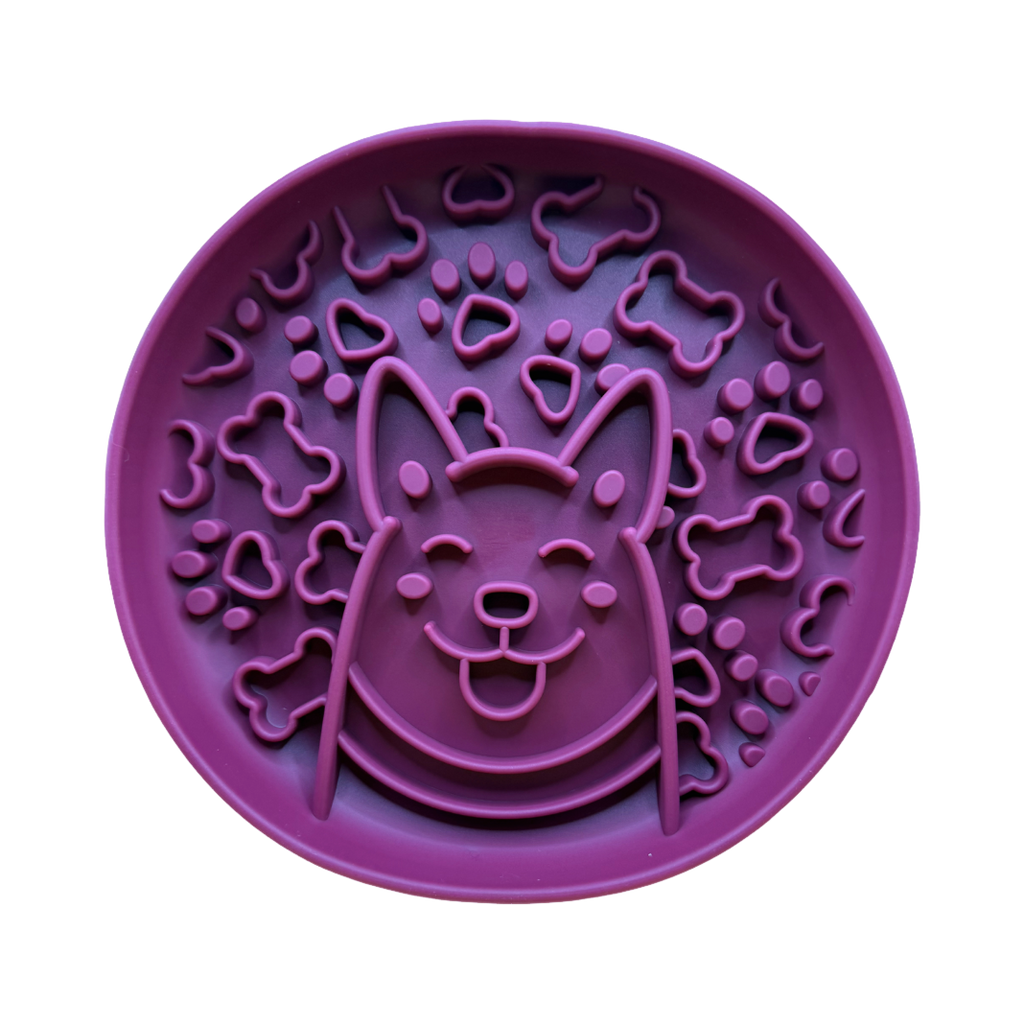 Gamelle corgi violette vue de dessus