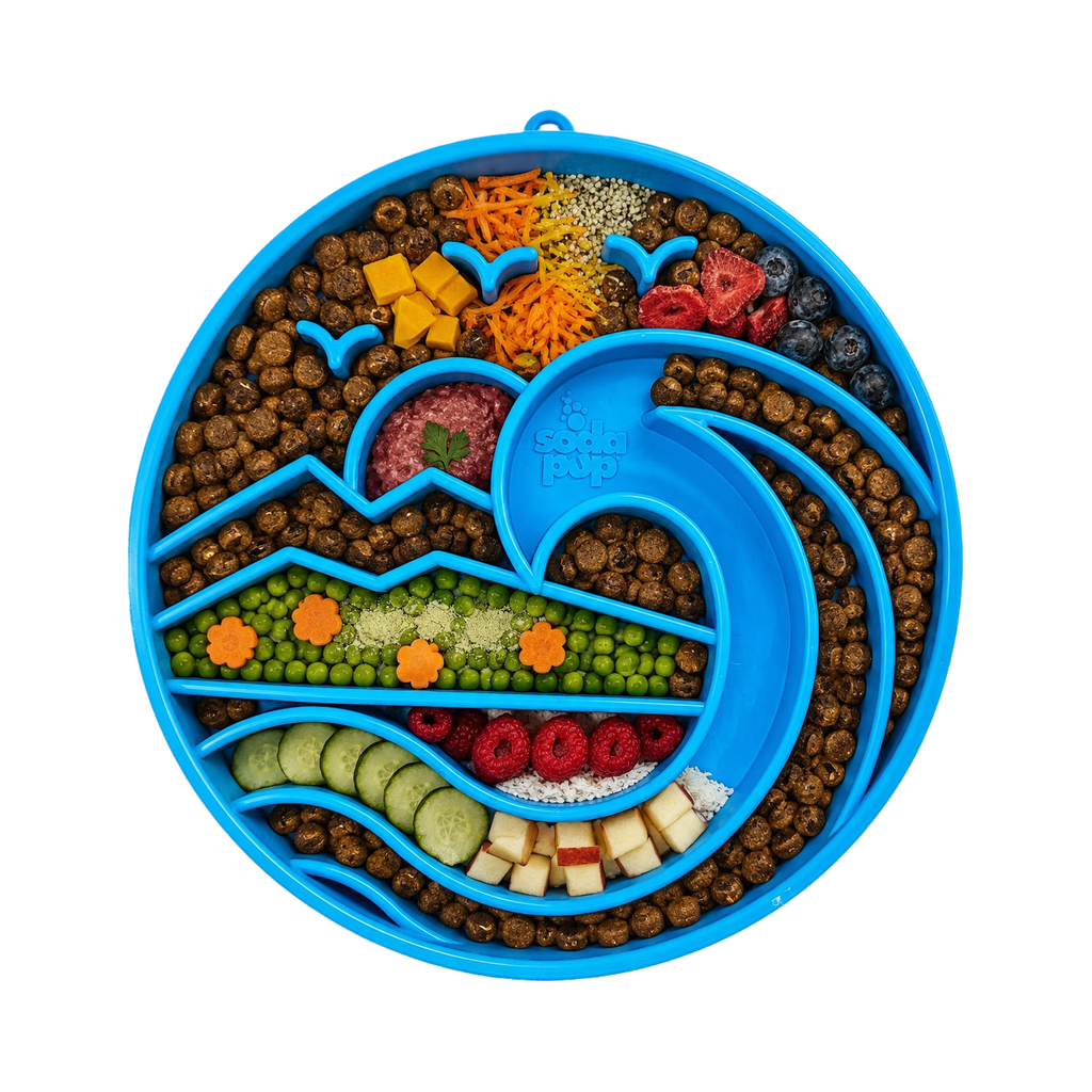 Plateau bleu garni de légumes, croquettes et fruits