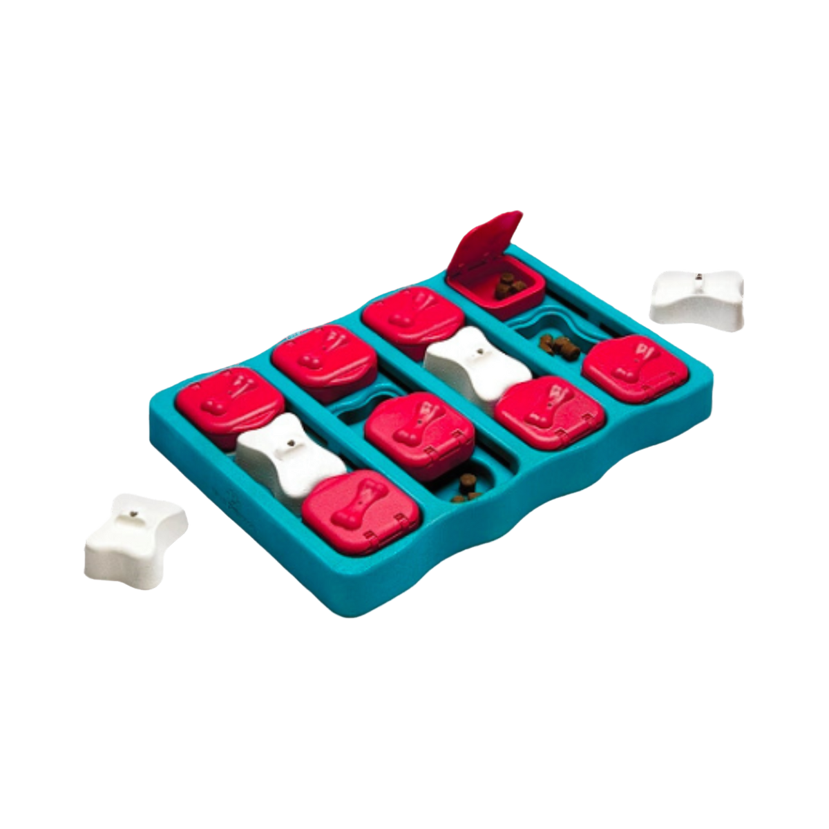 Plateau turquoise à clapets rouges et os blancs amovibles