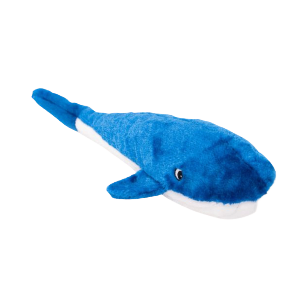 Baleine bleu roi au ventre blanc, vue de trois quarts