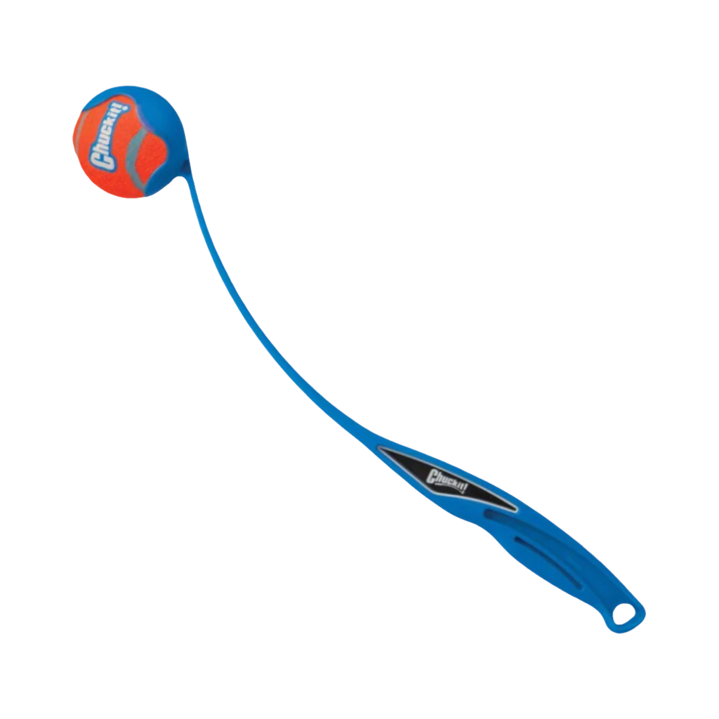 Lanceur bleu tenant une balle orange au bout