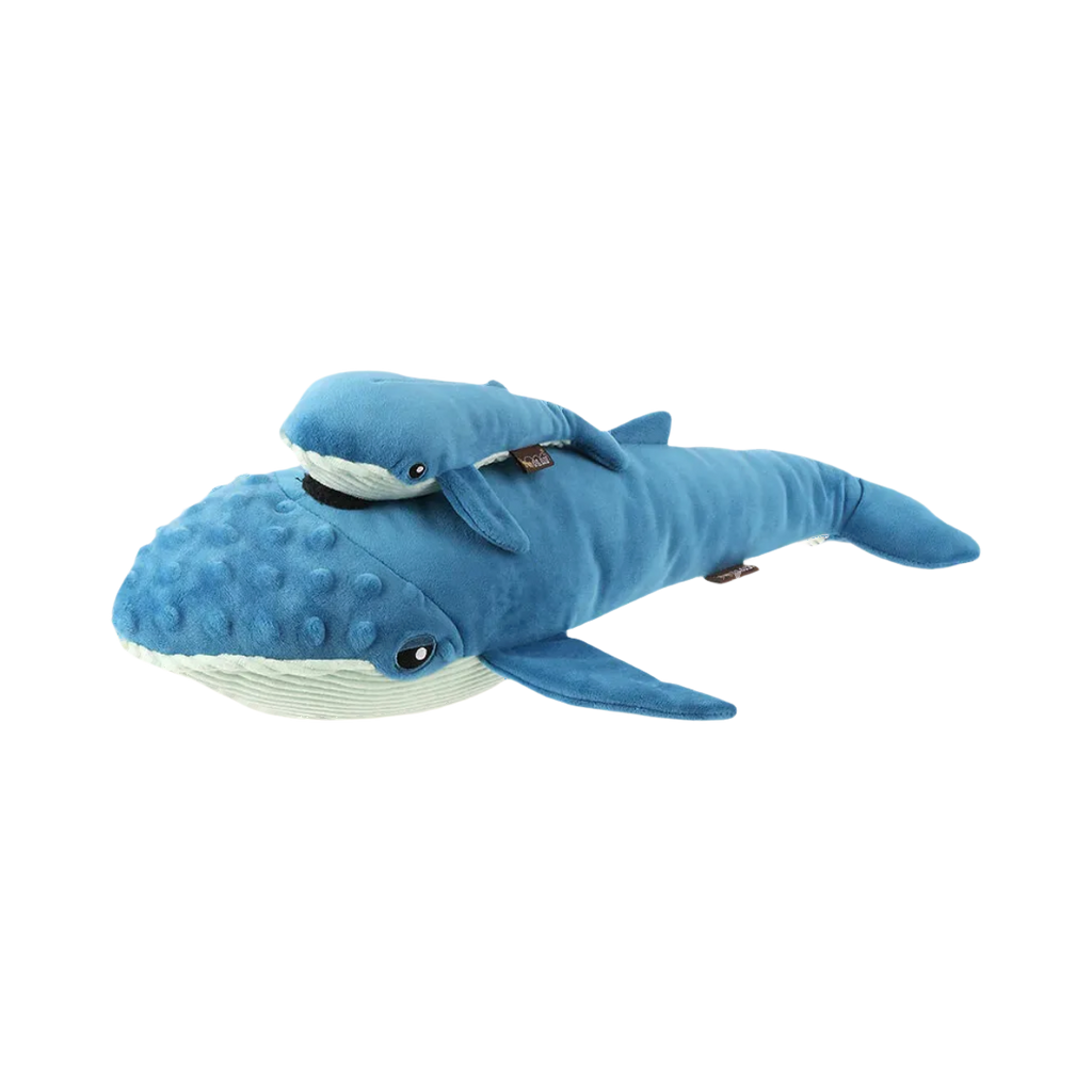 Grande baleine bleue portant un petit sur son dos